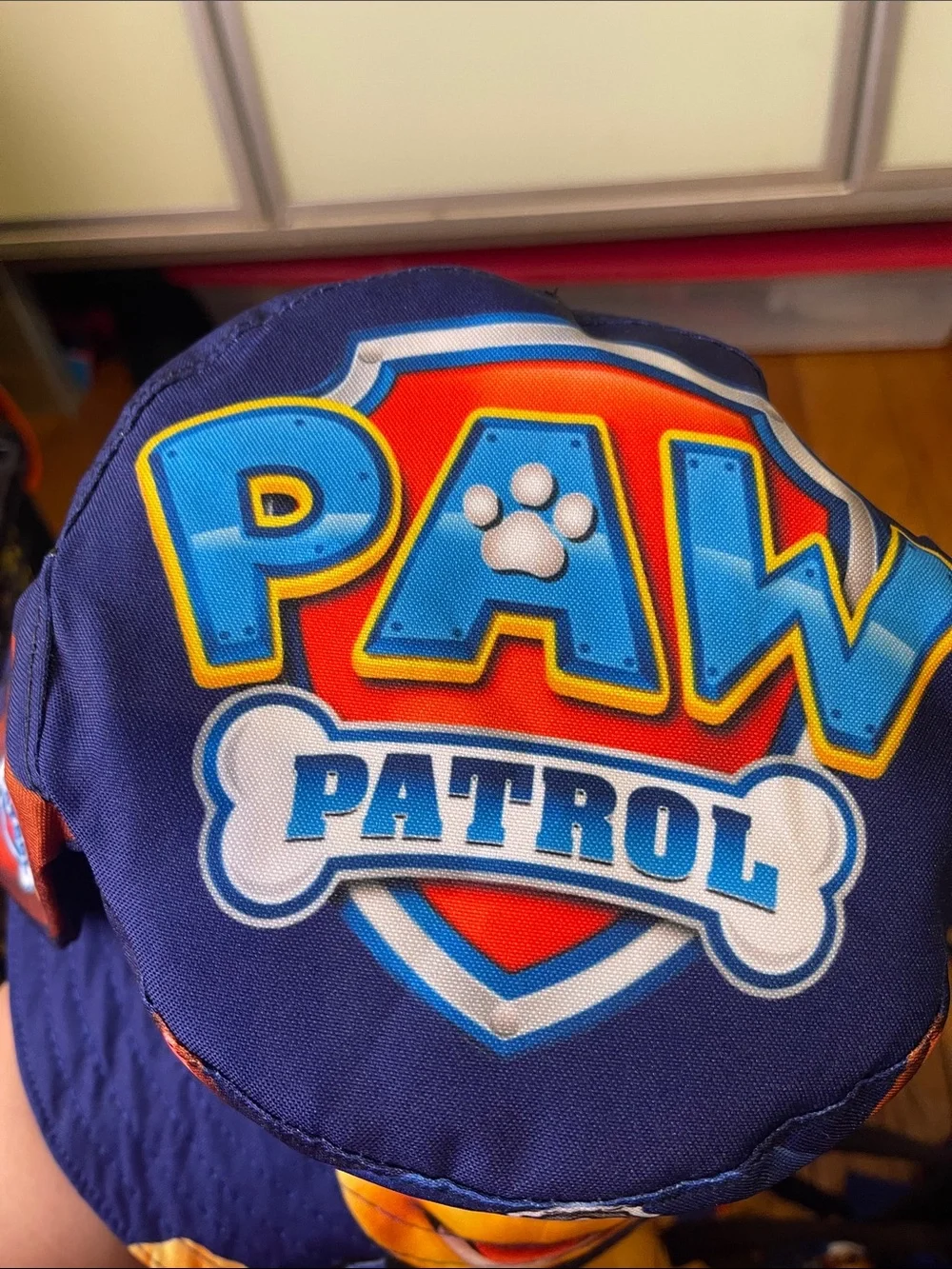 Paw Patrol children bucket